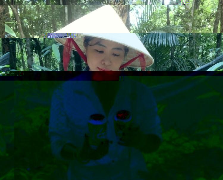 Cô gái 8x khởi nghiệp từ loại cây rừng mọc dại, hái lá tươi bán giá 10 triệu đồng/kg