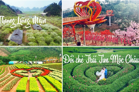 Đánh thức tiềm năng lợi thế của Mộc Châu – Sơn La: "Cô gái" đang ngủ chờ nhà khởi nghiệp gọi tên