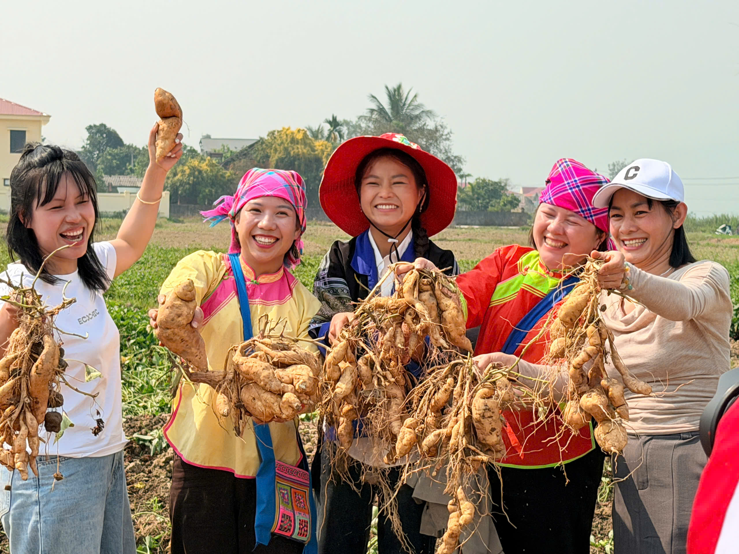 Hành trình Nông sản Điện Biên: Khi câu chuyện từ ruộng nương bước vào không gian số